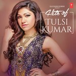 Hits Of Tulsi Kumar - Hanif Shaikh Song Download
